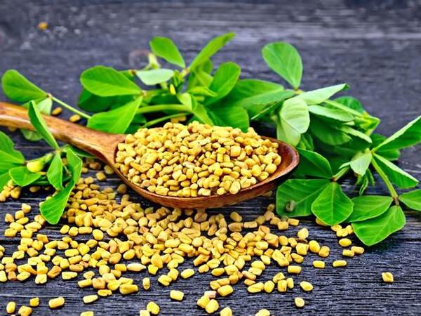 Сминдух-полезни свойства за мъже и жени, приложение