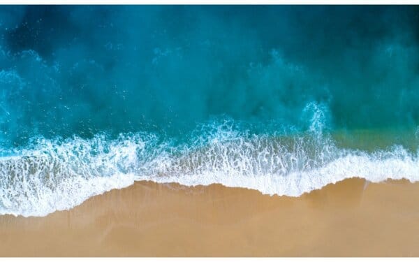 НА МОРЕ…БЕЗ ВИРУСИ