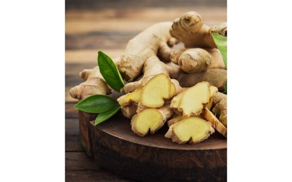 През погледа на китайската медицина: Джиджифилът по-силен от женшена!