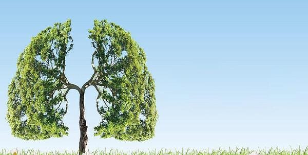 ПСИХОСОМАТИКАТА ЗА... АЛЕРГИИТЕ И АСТМАТА