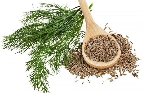 Ползи за здравето от семената на копър