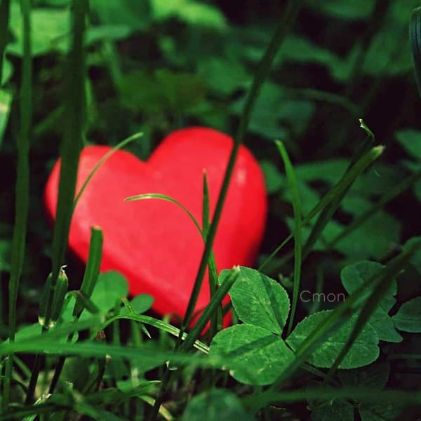 Хипертонично сърце: тихата заплаха