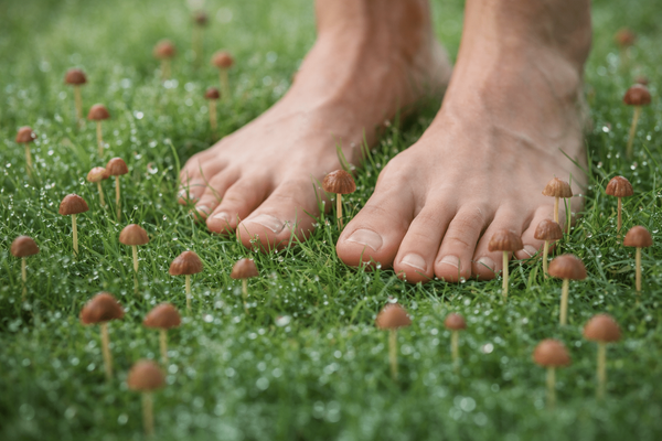 Гъбички по ноктите разболяват сърцето